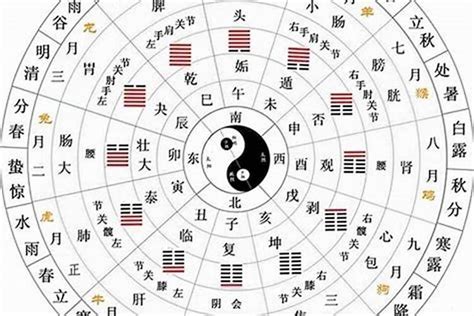 壬 卯五行|天干地支五行对照表